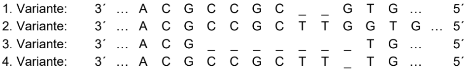 Vier Varianten von DNA-Sequenzen (3'–5') mit A, C, G, T und Lücken